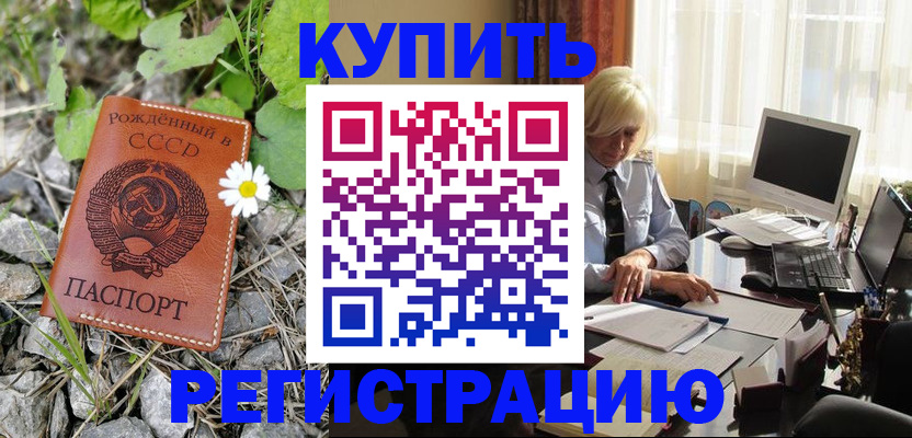 временная регистрация недорого в Алексеевке